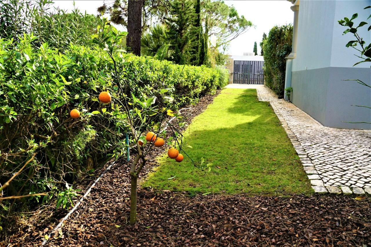 Charming Exceptional Golf Villa In Algarve Фаро Екстериор снимка